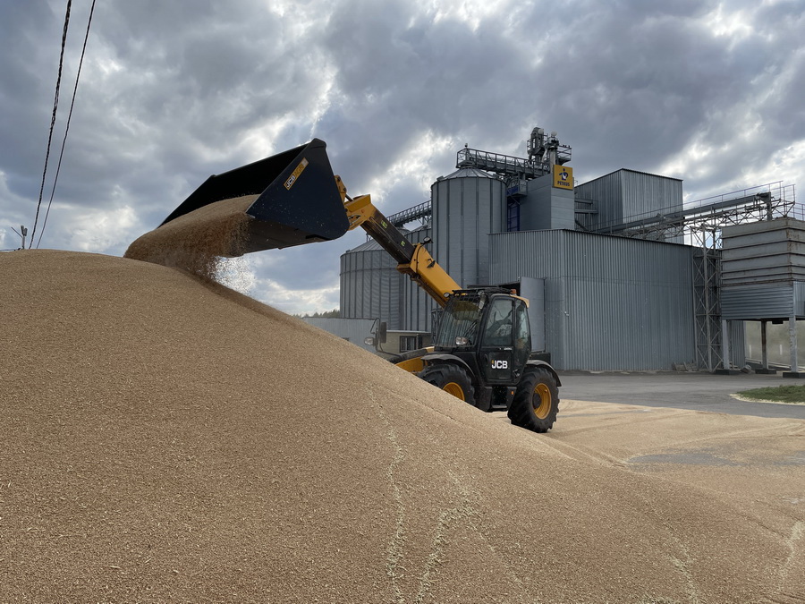 Цены на пшеницу нового урожая объявили мукомолы