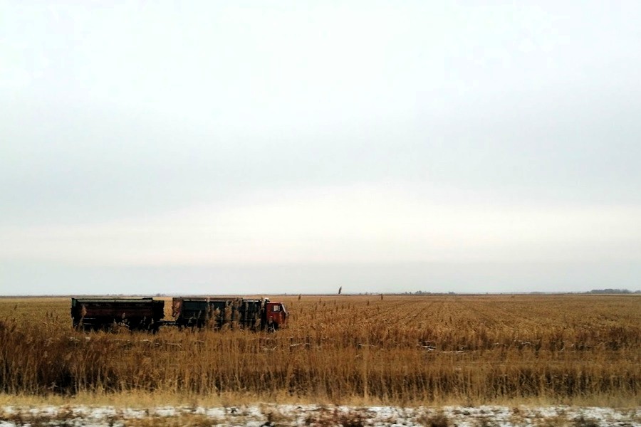 Резкое ухудшение погоды ожидают в Казахстане