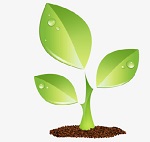 Посевная онлайн