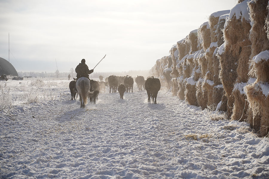 АгроКараван
